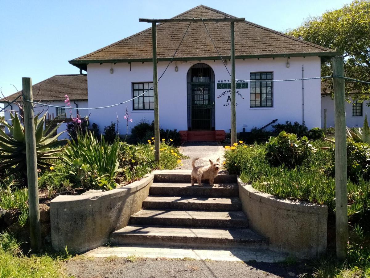 Lighthouse Farm Backpackers Lodge Cidade Do Cabo Exterior foto
