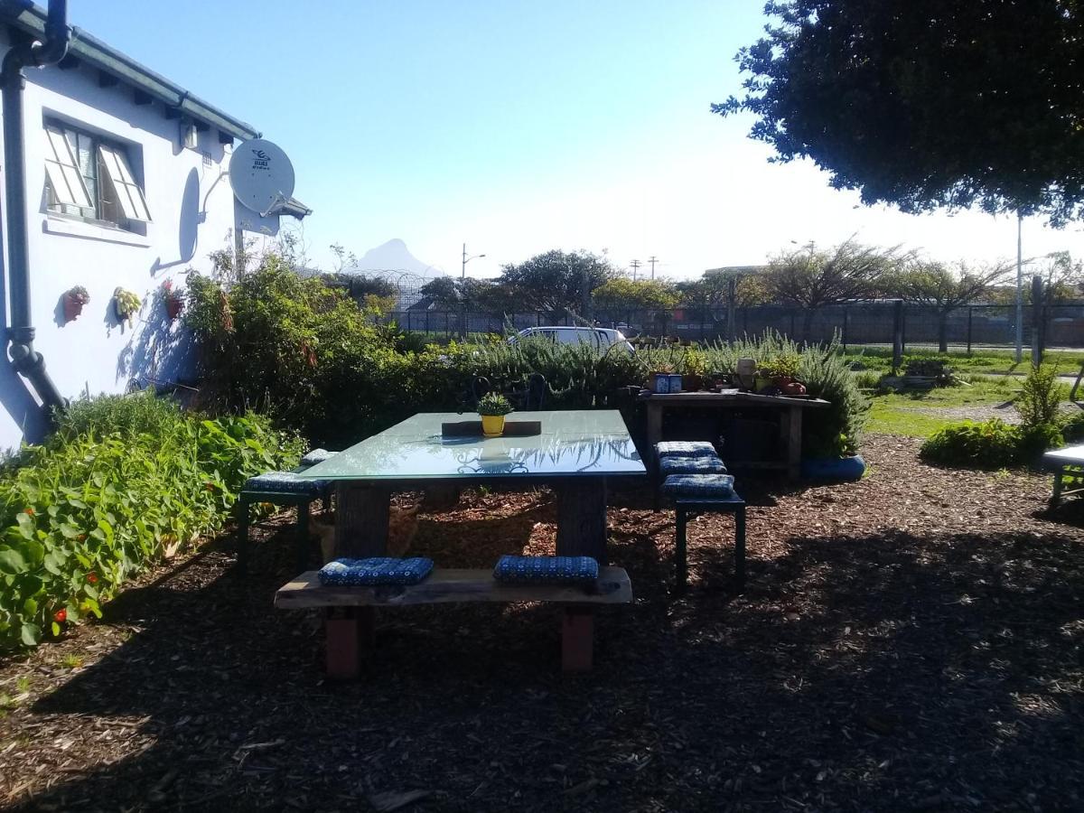 Lighthouse Farm Backpackers Lodge Cidade Do Cabo Exterior foto